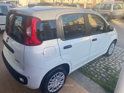 Fiat Pandina NUOVA DA IMMATRICOLARE Bianco usata Colleferro