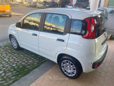 Fiat Pandina NUOVA DA IMMATRICOLARE Bianco usata Colleferro