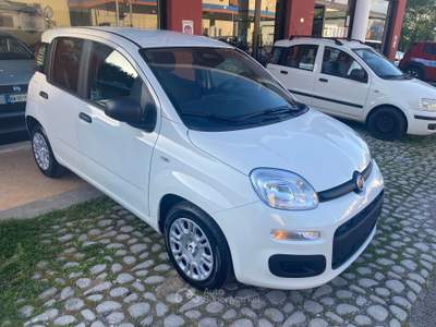 Fiat Pandina NUOVA DA IMMATRICOLARE Bianco usata Colleferro