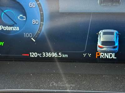 Ford Kuga Ford kuga FHEV 2024 Bianco usata CECINA