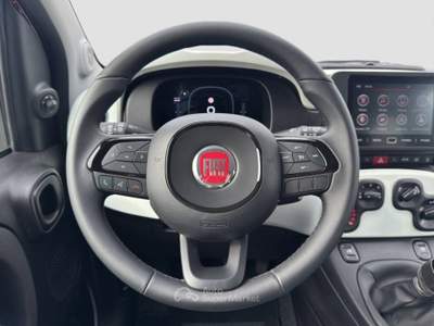 Fiat Panda Cross 1.0 firefly hybrid s&s 70cv Rosso usata Cappella Maggiore