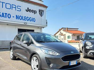 Ford Fiesta VIGNALE Grigio usata Francolise
