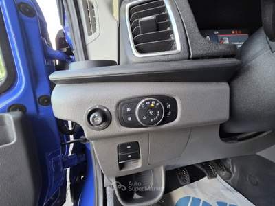 Ford Transit 310 2.0TDCi EcoBlue 130CV PM-TM Furgone Trend Blu/Azzurro usata Cotignola