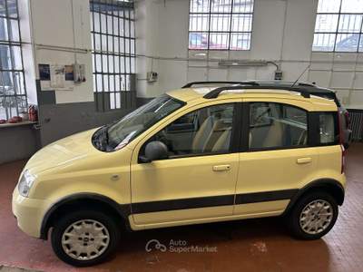 Fiat Panda 1.2 Climbing 4x4 Guida Neopatentati usata Moncalieri