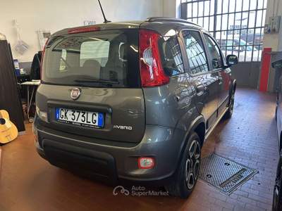 Fiat Panda 1.0 firefly hybrid City Life s&s 70cv 5p.ti usata Moncalieri