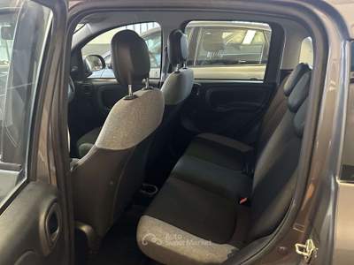 Fiat Panda 1.0 firefly hybrid City Life s&s 70cv 5p.ti usata Moncalieri