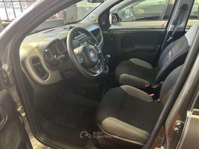 Fiat Panda 1.0 firefly hybrid City Life s&s 70cv 5p.ti usata Moncalieri