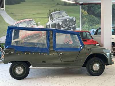 Citroen Mehari 29cv Verde usata Mornago