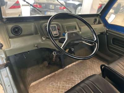 Citroen Mehari 29cv Verde usata Mornago