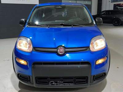 Fiat Panda Pandina 1.0 firefly hybrid Icon s Blu/Azzurro usata Casale Monferrato