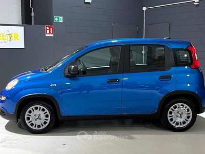 Fiat Panda Pandina 1.0 firefly hybrid Icon s Blu/Azzurro usata Casale Monferrato