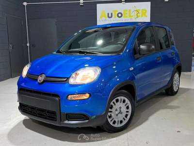 Fiat Panda Pandina 1.0 firefly hybrid Icon s Blu/Azzurro usata Casale Monferrato