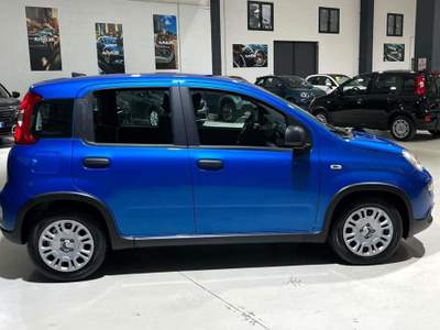 Fiat Panda Pandina 1.0 firefly hybrid Icon s Blu/Azzurro usata Casale Monferrato