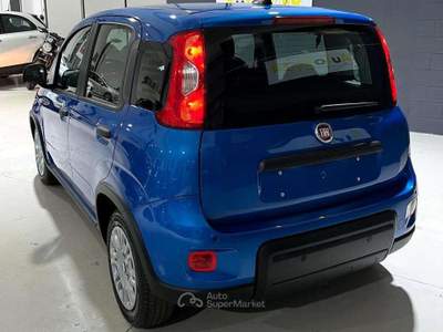 Fiat Panda Pandina 1.0 firefly hybrid Icon s Blu/Azzurro usata Casale Monferrato