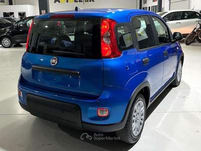 Fiat Panda Pandina 1.0 firefly hybrid Icon s Blu/Azzurro usata Casale Monferrato