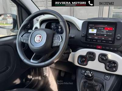 Fiat Panda 1.0 FireFly S&S Hybrid Pandina 5 posti Verde usata Dolo