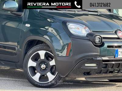Fiat Panda 1.0 FireFly S&S Hybrid Pandina 5 posti Verde usata Dolo