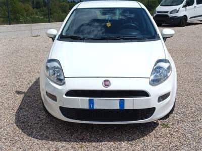 Fiat Punto Punto 1.2 8V 5 porte Street usata Laterina