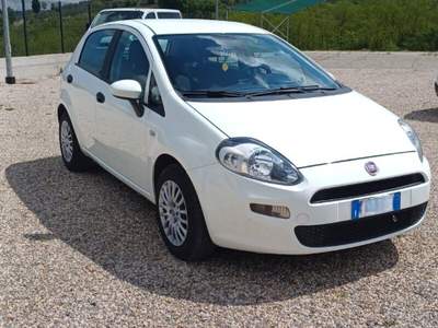 Fiat Punto Punto 1.2 8V 5 porte Street usata Laterina