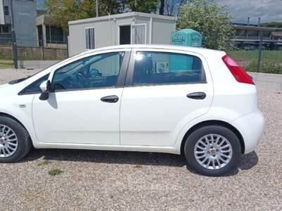 Fiat Punto Punto 1.2 8V 5 porte Street usata Laterina