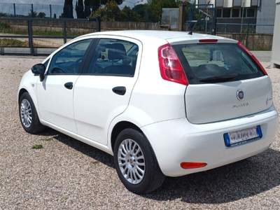 Fiat Punto Punto 1.2 8V 5 porte Street usata Laterina