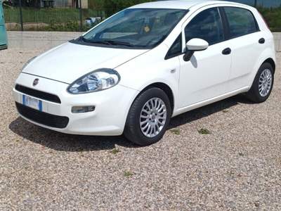 Fiat Punto Punto 1.2 8V 5 porte Street usata Laterina