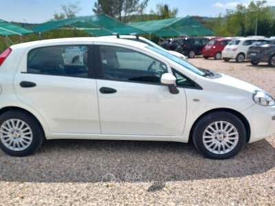 Fiat Punto Punto 1.2 8V 5 porte Street usata Laterina