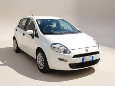 Fiat Punto Punto 1.2 8V 5 porte Street usata Laterina