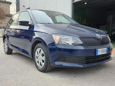 Skoda Fabia 1.0 MPI 60 CV Business Blu/Azzurro usata Città di Castello