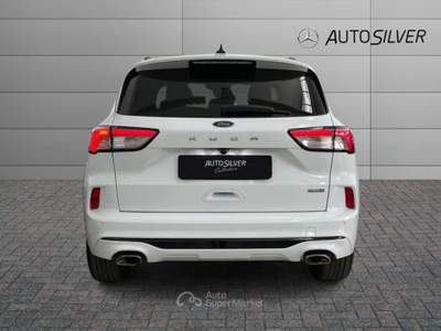 Ford Kuga 2.5 Full Hybrid 190 CV CVT 2WD ST-Line Bianco usata Verona