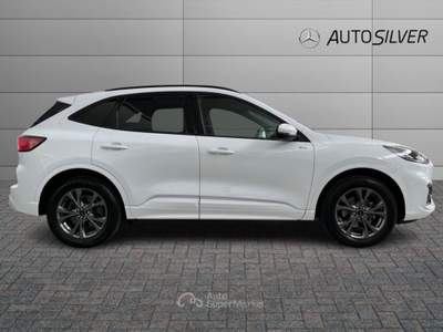 Ford Kuga 2.5 Full Hybrid 190 CV CVT 2WD ST-Line Bianco usata Verona