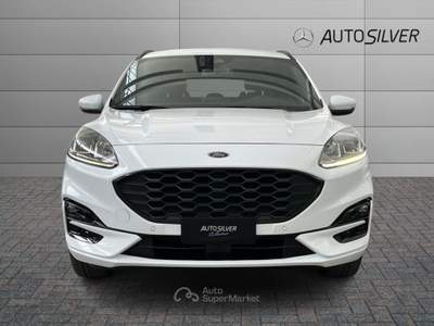 Ford Kuga 2.5 Full Hybrid 190 CV CVT 2WD ST-Line Bianco usata Verona