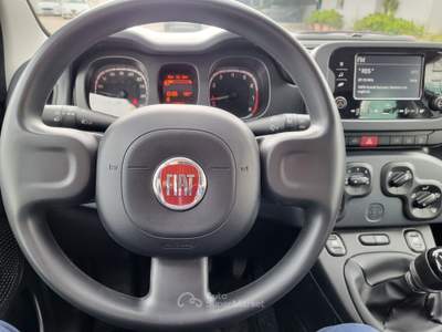 Fiat Panda FIAT Panda 1.0 FireFly S&S Hybrid Bianco usata Bari