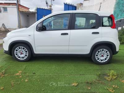 Fiat Panda FIAT Panda 1.0 FireFly S&S Hybrid Bianco usata Bari