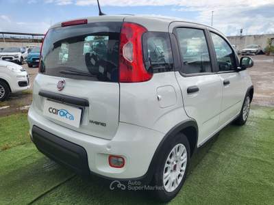 Fiat Panda FIAT Panda 1.0 FireFly S&S Hybrid Bianco usata Bari