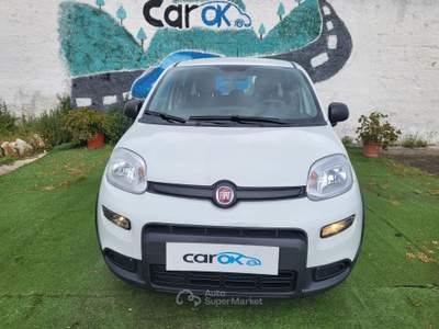 Fiat Panda FIAT Panda 1.0 FireFly S&S Hybrid Bianco usata Bari