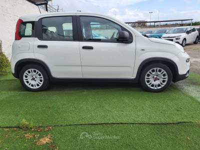 Fiat Panda FIAT Panda 1.0 FireFly S&S Hybrid Bianco usata Bari