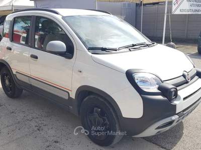 Fiat Panda FIAT PANDA 1.0 FIREFLY HYBRID GARMII Bianco usata Narni