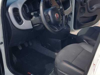 Fiat Panda FIAT PANDA 1.0 FIREFLY HYBRID GARMII Bianco usata Narni