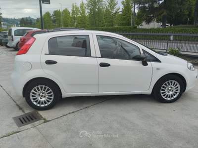Fiat Punto PREZZO RIBASSATO Bianco usata CANELLI