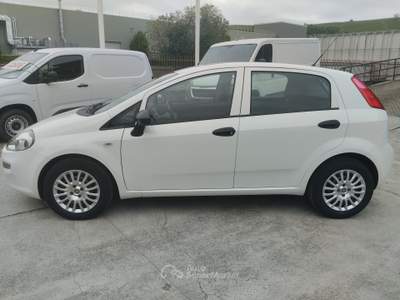 Fiat Punto PREZZO RIBASSATO Bianco usata CANELLI