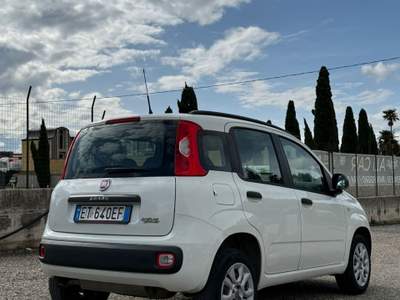 Fiat Panda Fiat Panda TwinAir 0.9 Bianco usata TELESE TERME