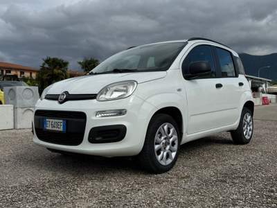 Fiat Panda Fiat Panda TwinAir 0.9 Bianco usata TELESE TERME