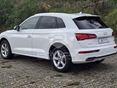 Audi Q5 AUDI Q5 2.0 TDI 190 CV quattro S tronic S line plus Bianco usata CATANZARO