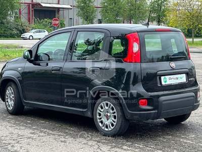 Fiat Panda FIAT Panda 1.0 FireFly S&S Hybrid Nero usata Carpi