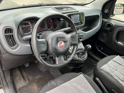 Fiat Panda FIAT Panda 1.0 FireFly S&S Hybrid Nero usata Carpi