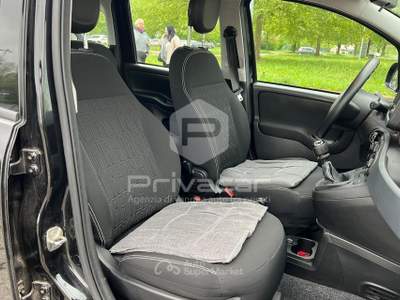 Fiat Panda FIAT Panda 1.0 FireFly S&S Hybrid Nero usata Carpi