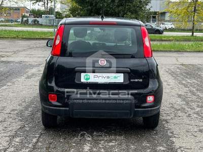 Fiat Panda FIAT Panda 1.0 FireFly S&S Hybrid Nero usata Carpi
