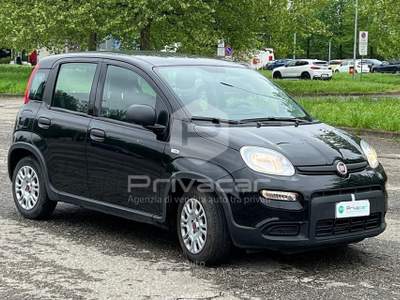 Fiat Panda FIAT Panda 1.0 FireFly S&S Hybrid Nero usata Carpi