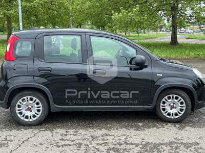 Fiat Panda FIAT Panda 1.0 FireFly S&S Hybrid Nero usata Carpi